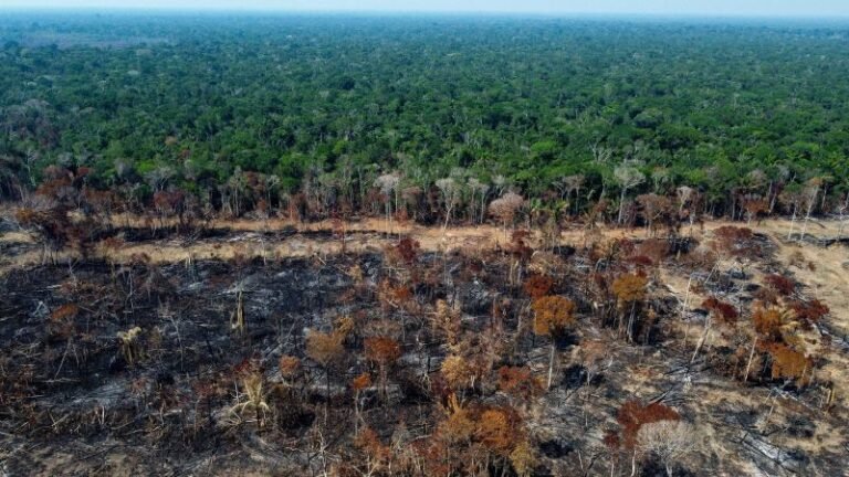 Can Lula slam the brakes on Brazil’s rampant deforestation? It will be harder this time