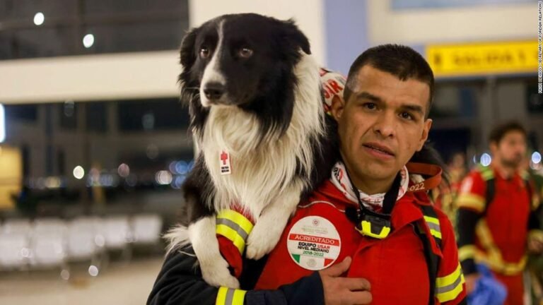 Mexico sends its beloved search and rescue dogs to Turkey