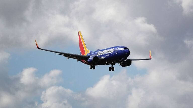 Southwest flight to Ft. Lauderdale returns to Havana after issue due to bird strikes, airline says