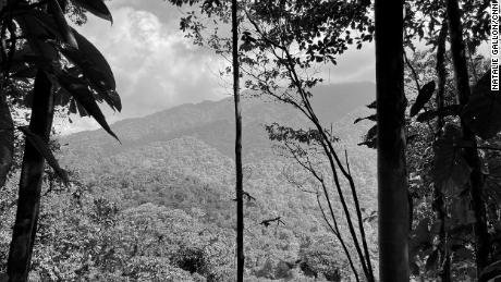 The Darién&#39;s rugged, mountainous rainforest made construction of the Pan-American Highway untenable, leaving a &quot;gap&quot; in the roadway between South and Central America, which is how the route got its name.