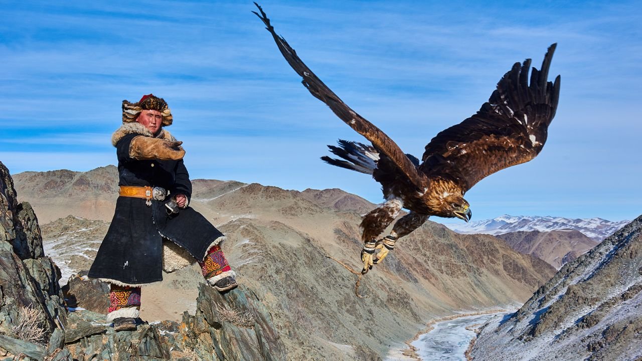 A Mongolian hunter sends his golden eagle to catch prey.