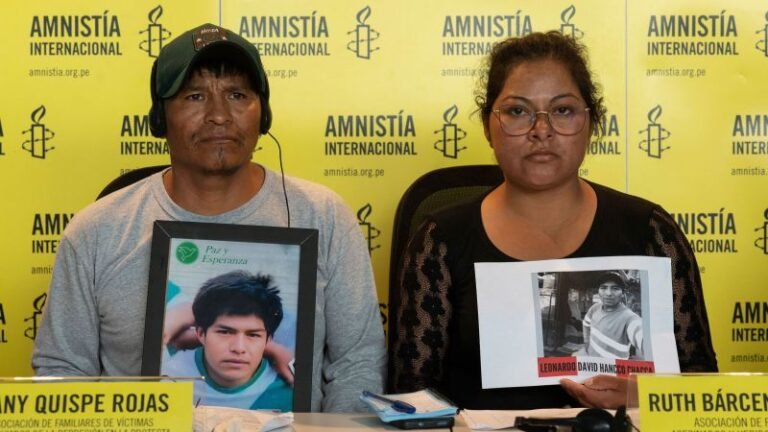 Peru protesters, including children, killed in ‘extrajudicial executions’ by security forces, Amnesty finds