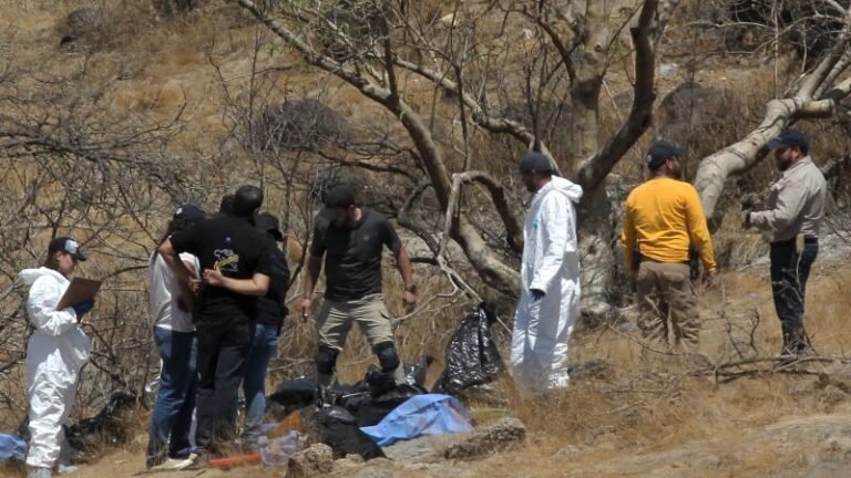 Mexico police found 45 bags containing body parts “matching characteristics” of missing call center staff