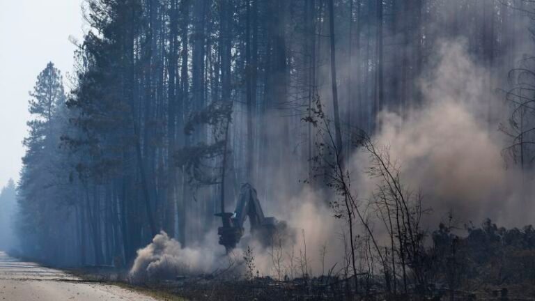 Downton Lake wildfire: ‘Persistent bear activity’ forces wildfire crews to leave campsite in British Columbia, officials say