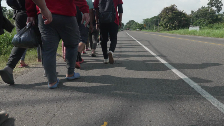 Migrant crisis in Mexico: Families weave through long grass to dodge checkpoints