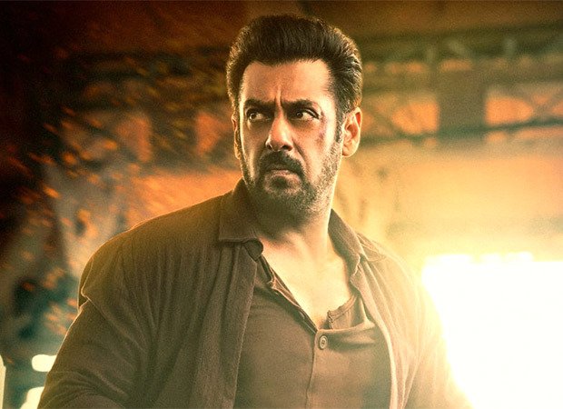 Fact Check: Salman Khan-starrer Tiger 3 NOT banned in Oman and Qatar; authorities express reservations about certain aspects of the film and talks are on : Bollywood News